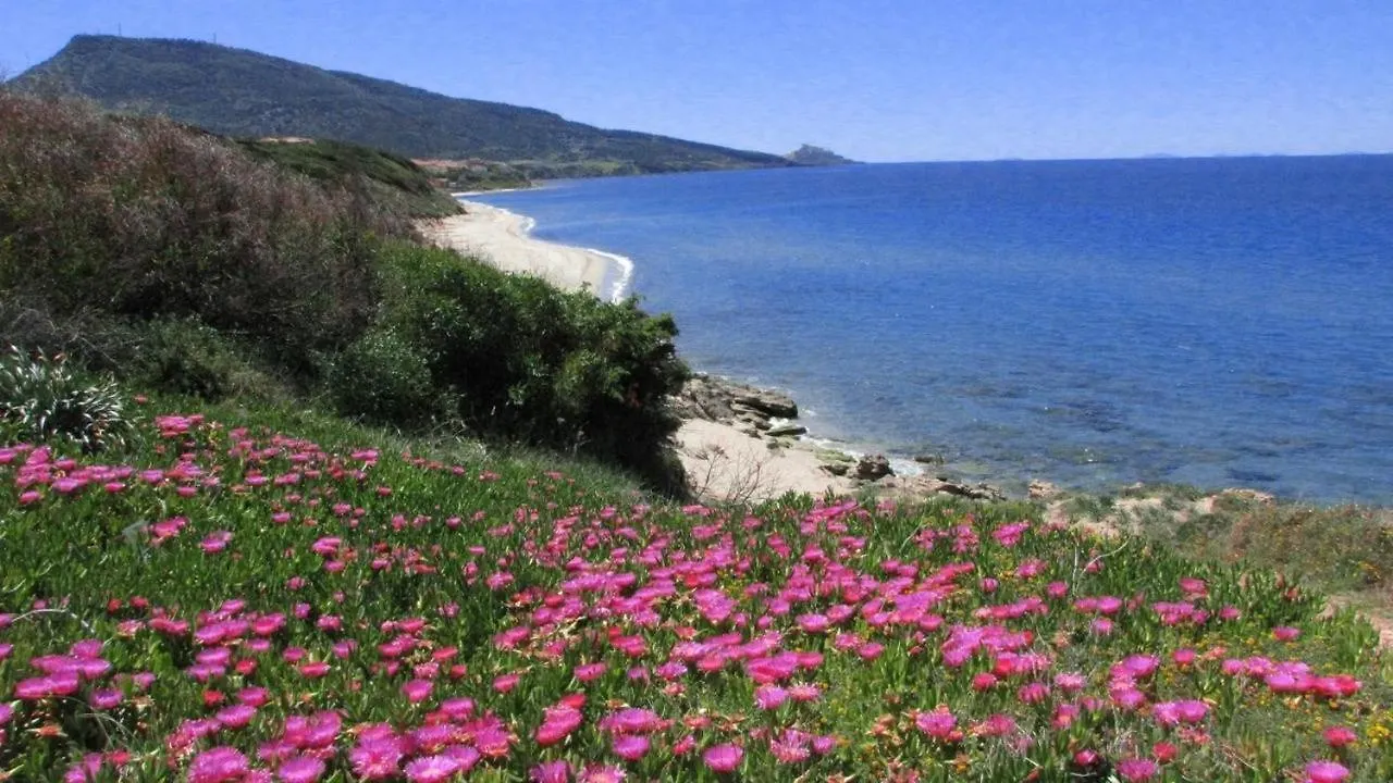 Alba Stupendo Appartamento In Villa Fronte Mare - Golfo Dell'Asinara - Internet Free Valledoria  Holiday home